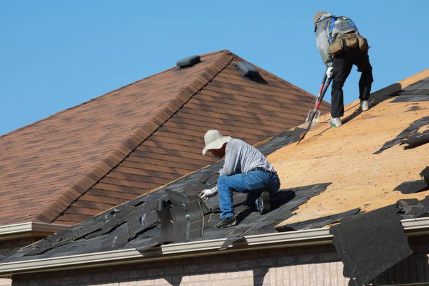Best Skylight Installation and Repair  in New Middletown, OH